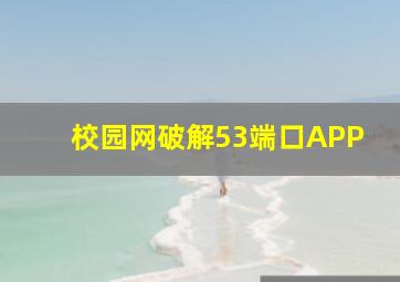 校园网破解53端口APP