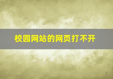 校园网站的网页打不开