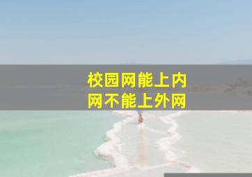 校园网能上内网不能上外网