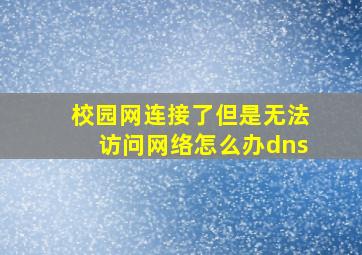 校园网连接了但是无法访问网络怎么办dns