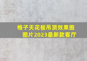 格子天花板吊顶效果图图片2023最新款客厅