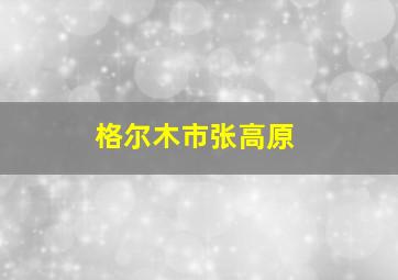 格尔木市张高原