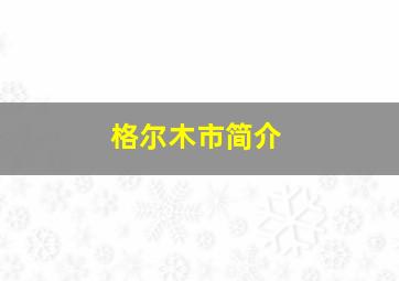 格尔木市简介