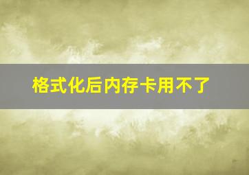 格式化后内存卡用不了