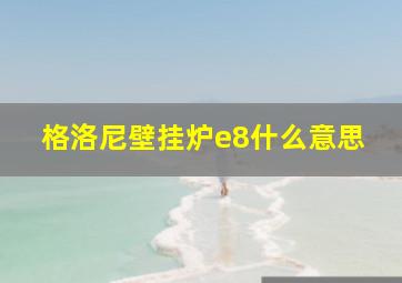 格洛尼壁挂炉e8什么意思