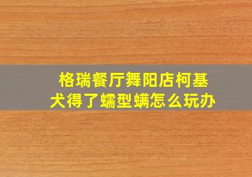 格瑞餐厅舞阳店柯基犬得了蠕型螨怎么玩办