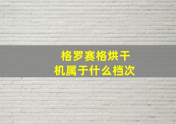 格罗赛格烘干机属于什么档次