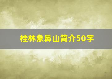 桂林象鼻山简介50字