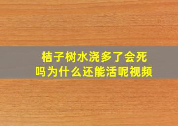 桔子树水浇多了会死吗为什么还能活呢视频