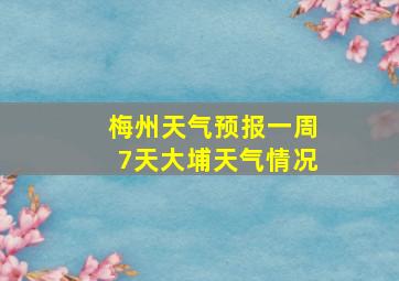 梅州天气预报一周7天大埔天气情况