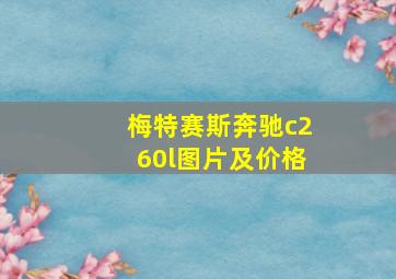 梅特赛斯奔驰c260l图片及价格