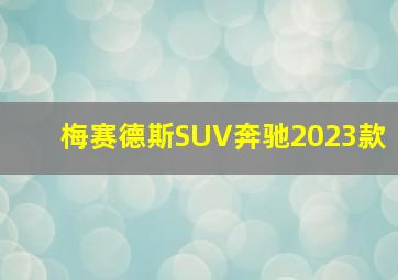 梅赛德斯SUV奔驰2023款