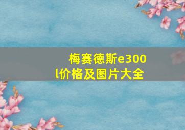 梅赛德斯e300l价格及图片大全