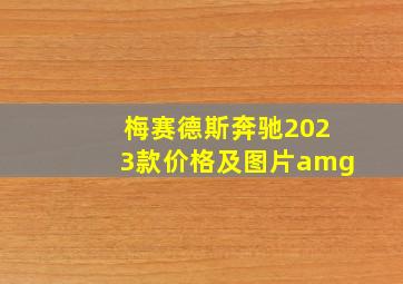 梅赛德斯奔驰2023款价格及图片amg