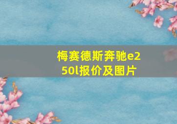 梅赛德斯奔驰e250l报价及图片