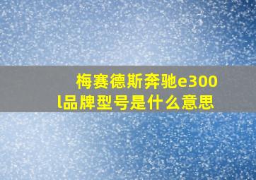 梅赛德斯奔驰e300l品牌型号是什么意思