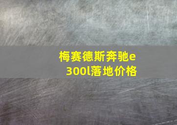 梅赛德斯奔驰e300l落地价格