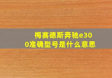 梅赛德斯奔驰e300准确型号是什么意思