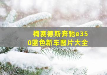 梅赛德斯奔驰e350蓝色新车图片大全