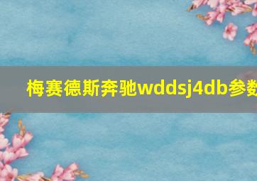 梅赛德斯奔驰wddsj4db参数