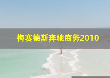 梅赛德斯奔驰商务2010