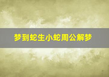 梦到蛇生小蛇周公解梦