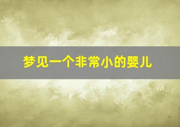 梦见一个非常小的婴儿