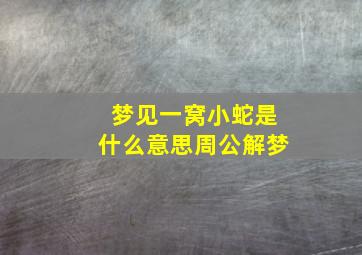 梦见一窝小蛇是什么意思周公解梦