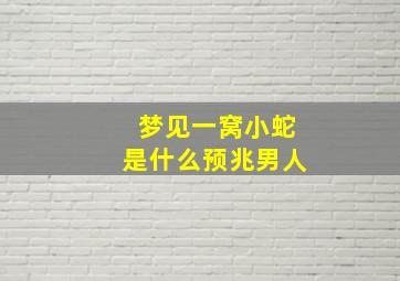 梦见一窝小蛇是什么预兆男人