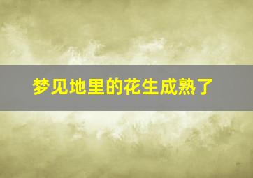 梦见地里的花生成熟了