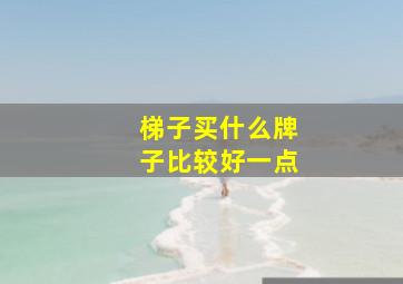 梯子买什么牌子比较好一点