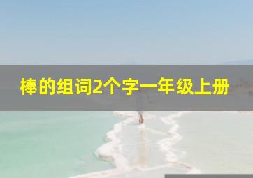 棒的组词2个字一年级上册