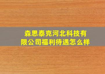 森思泰克河北科技有限公司福利待遇怎么样