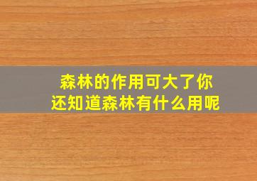 森林的作用可大了你还知道森林有什么用呢