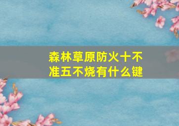 森林草原防火十不准五不烧有什么键