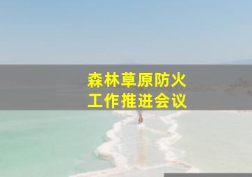 森林草原防火工作推进会议