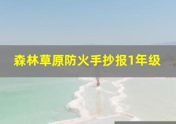 森林草原防火手抄报1年级