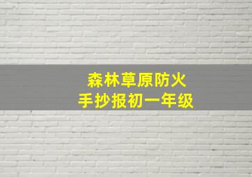 森林草原防火手抄报初一年级