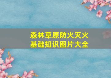 森林草原防火灭火基础知识图片大全