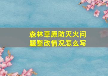 森林草原防灭火问题整改情况怎么写