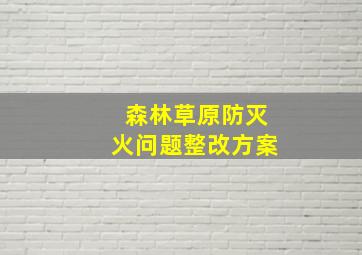 森林草原防灭火问题整改方案