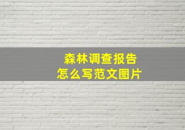 森林调查报告怎么写范文图片