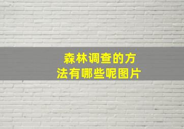 森林调查的方法有哪些呢图片