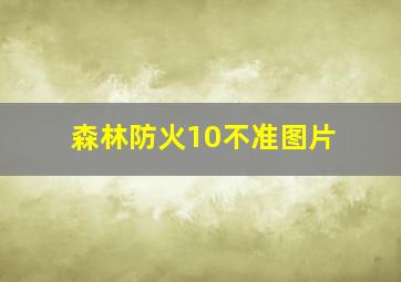 森林防火10不准图片