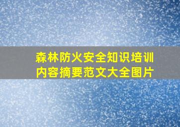 森林防火安全知识培训内容摘要范文大全图片