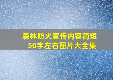 森林防火宣传内容简短50字左右图片大全集