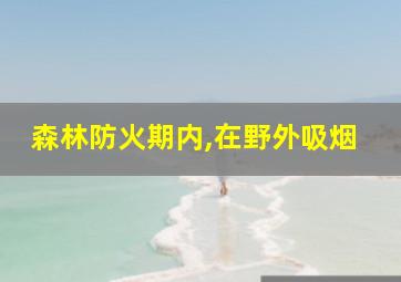 森林防火期内,在野外吸烟