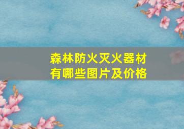 森林防火灭火器材有哪些图片及价格