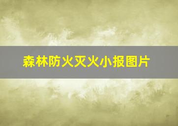 森林防火灭火小报图片