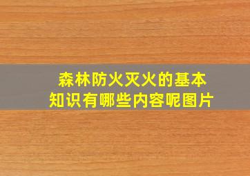 森林防火灭火的基本知识有哪些内容呢图片